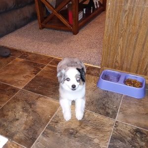 Meet your Posher, Sandra